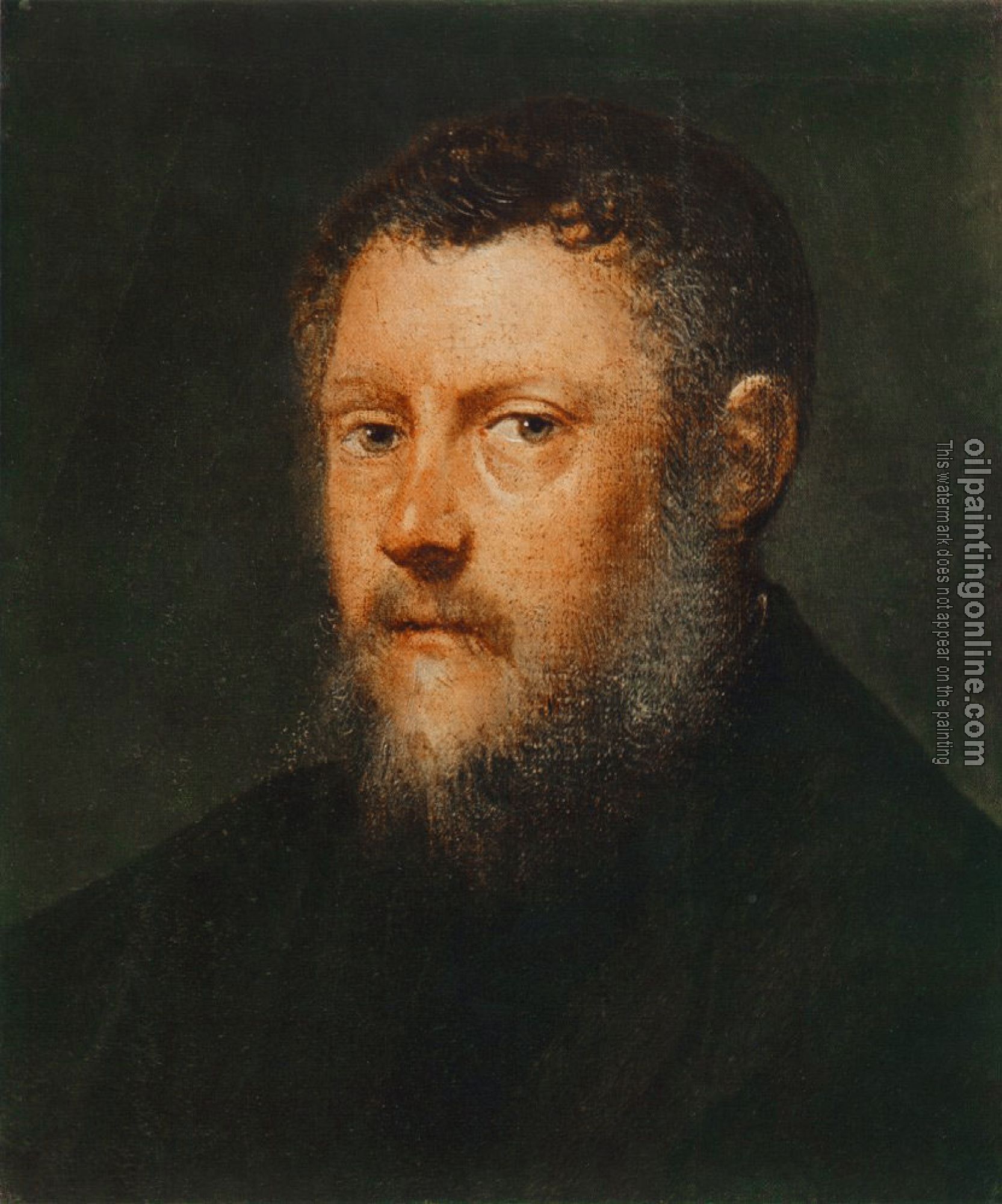 Jacopo Robusti Tintoretto - Portrait of a Man